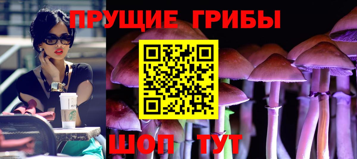 наркошоп  Галлюциногенные грибы GOLDEN TEACHER  Вход с VPN  Алапаевск 
