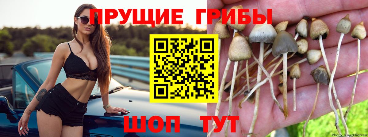 Галлюциногенные грибы Cubensis Алапаевск